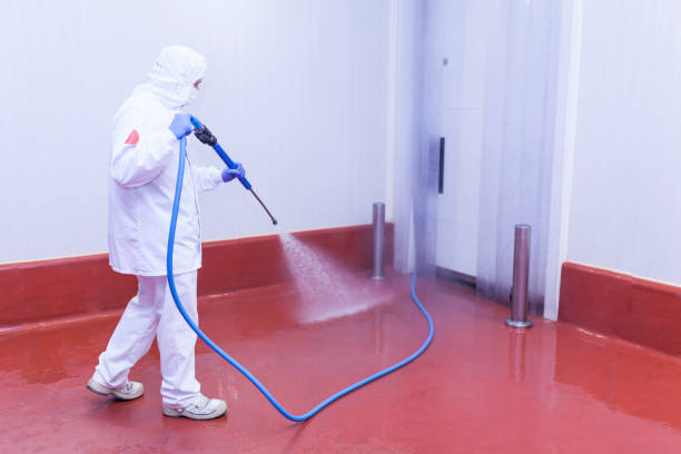 Best Factory Floor Cleaning  in Rollingwood, TX